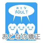 おとなの矯正
